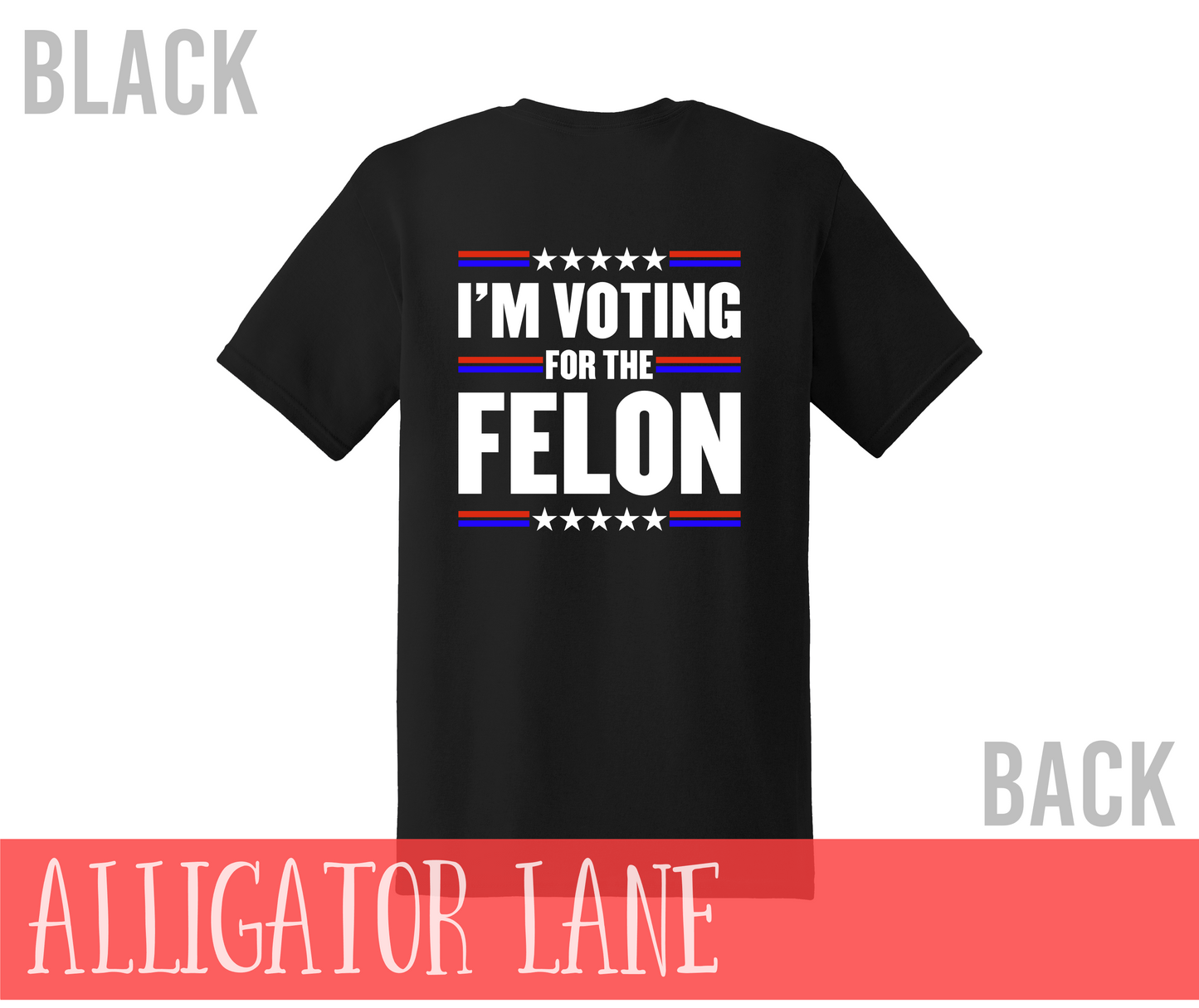Voting for the Felon